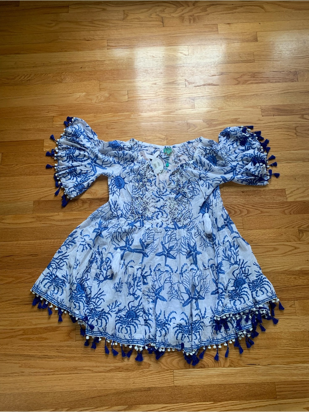 Blue & White Embroidered Dress with Tassels